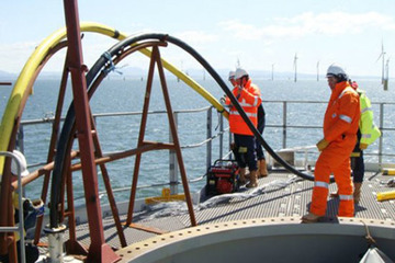 Đã có lịch sửa chữa tuyến cáp quang biển quốc tế AAG