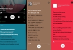 Người dùng Spotify Việt Nam được xem lời bài hát theo thời gian thực