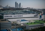 Samsung Electronics sắp tuyển dụng quy mô lớn để phát triển mảng chip và AI