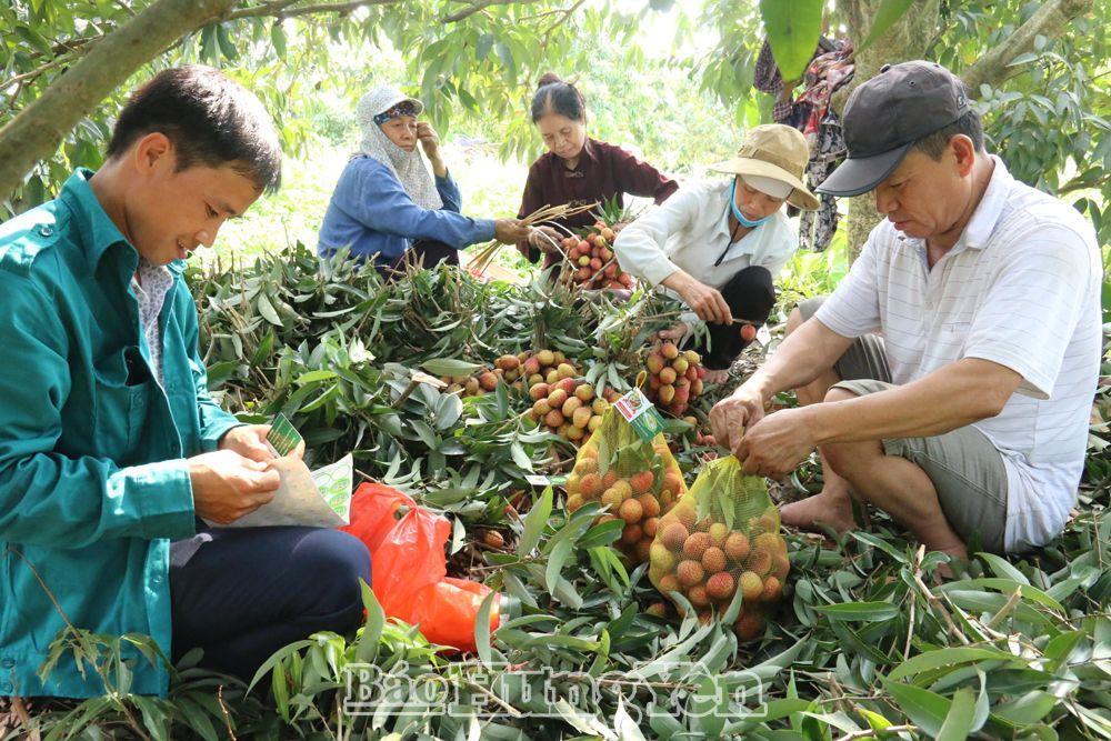 Hưng Yên muốn Bộ TT&TT hỗ trợ trở thành địa phương chuyển đổi số kiểu mẫu