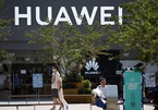 Thị trường chip chao đảo sau khi Mỹ tiếp tục siết Huawei