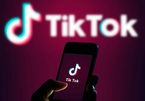 VNG kiện TikTok vi phạm bản quyền âm nhạc ở Việt Nam