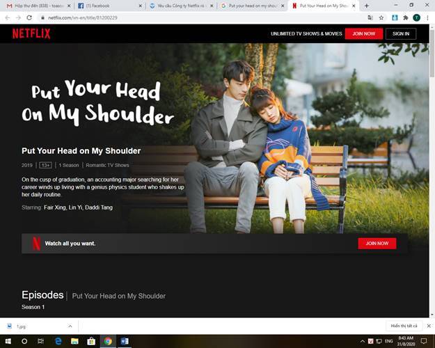 Netflix removes content violating Vietnam's sovereignty