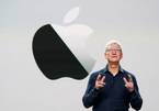 Apple hoãn tính năng iOS 14 có thể khiến ngành di động thất thu
