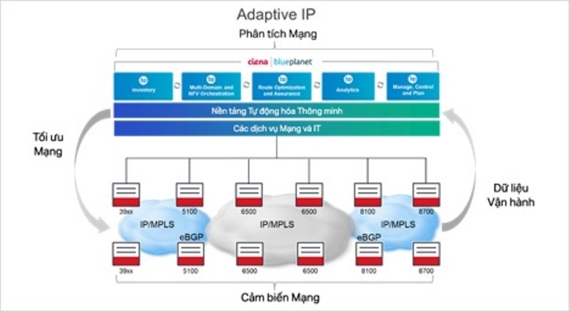 IP Thích ứng sẽ thay đổi mạng IP ra sao?