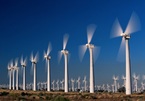Gia Lai sắp trình Bộ Công Thương phê duyệt bổ sung 9 dự án điện gió