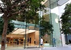 iPhone 12 mở bán, thị trường Việt Nam vẫn im ắng