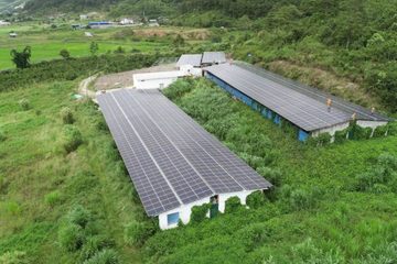 10 tháng đầu năm, Lâm Đồng tiết kiệm 26,85 triệu kWh điện