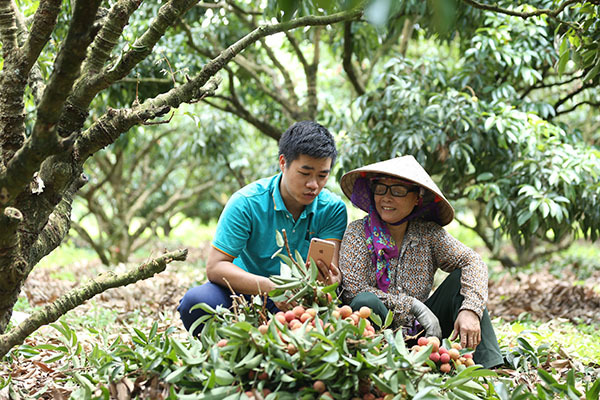 Postmart, Voso giúp nông dân nâng cao giá trị nông sản nhờ công nghệ