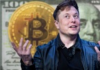 Từ một người được cho Bitcoin cũng không để ý, Elon Musk đã thay đổi