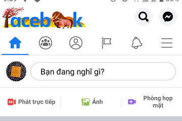 Facebook đổi logo mừng Tết Tân Sửu