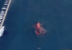 'Bạch tuộc khổng lồ' và những thứ kỳ lạ trên Google Maps
