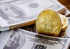 Chính phủ Mỹ có thể &quot;ép&quot; Bitcoin để bảo vệ đồng USD