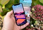 Hé lộ thời điểm Apple ra mắt iPhone không 'tai thỏ'