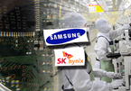 Samsung, SK nô nức tuyển nhân tài bán dẫn