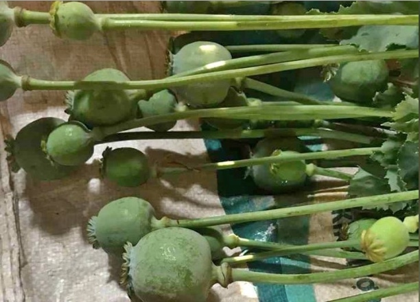 Sau vụ rao 