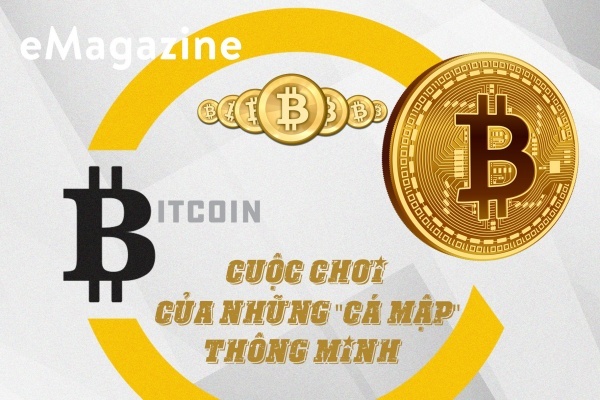 Bitcoin: Cuộc chơi của những “cá mập” thông minh