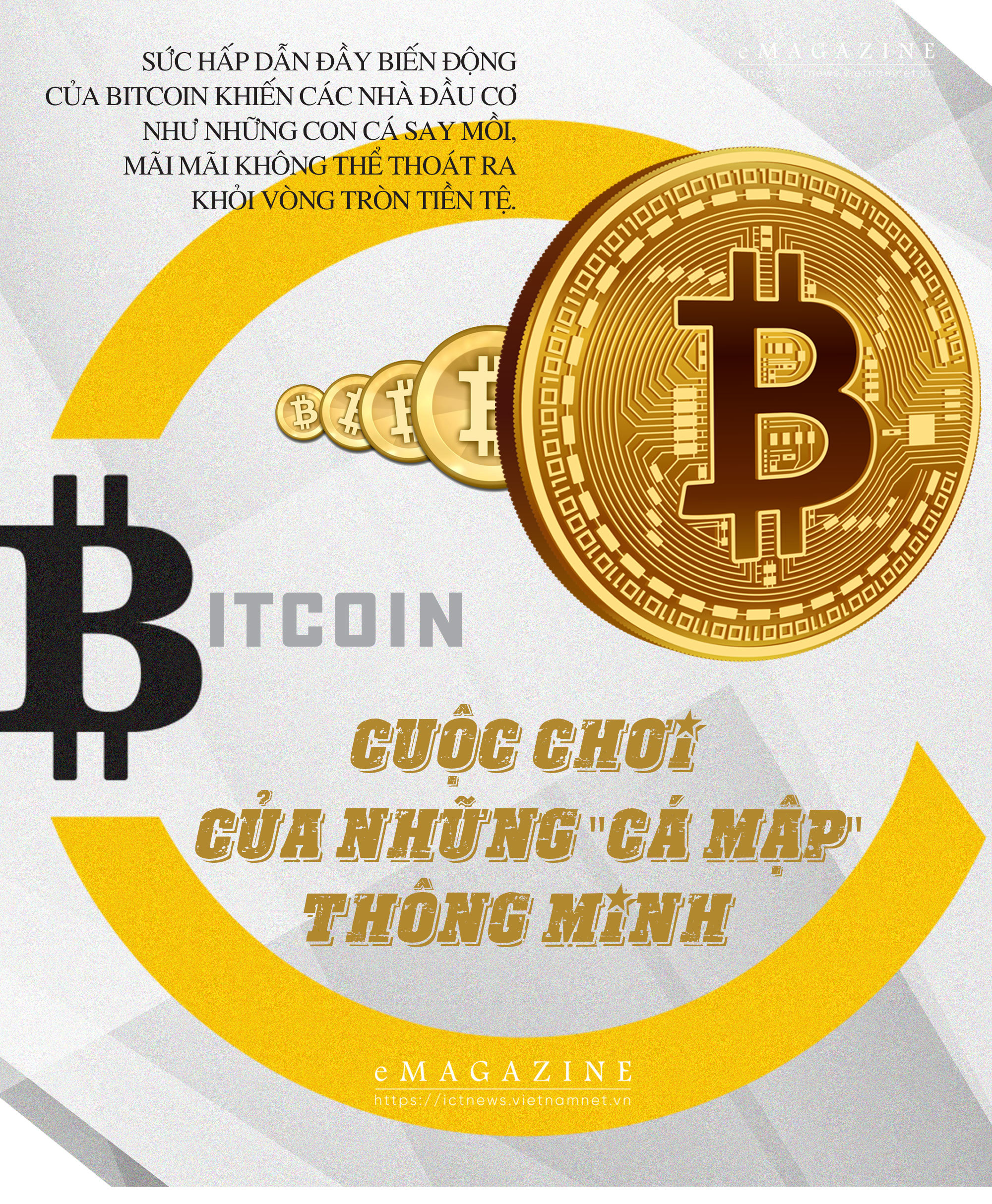 Bitcoin: Cuộc chơi của những “cá mập” thông minh