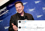 Elon Musk lại thao túng thị trường tiền ảo