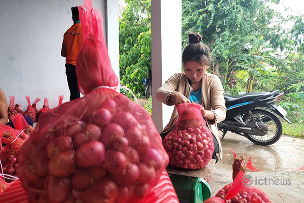 Đơn hàng nông sản trên các sàn Postmart, Vỏ Sò tăng 2 lần trong dịch Covid-19