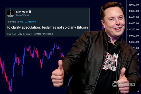 Elon Musk lật lọng, nói chưa bán đồng Bitcoin nào