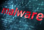 Microsoft: Tỷ lệ lây nhiễm malware và ransomware gia tăng