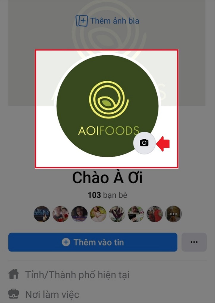 Bạn quan tâm đến hình đại diện Facebook khiến cho bạn hiển thị nổi bật và cá tính hơn? Chúng tôi cung cấp các video ảnh đại diện cực kỳ độc đáo, nghệ thuật và đầy tính sáng tạo để bạn có thể thay đổi các trang trí trên trang cá nhân của mình.