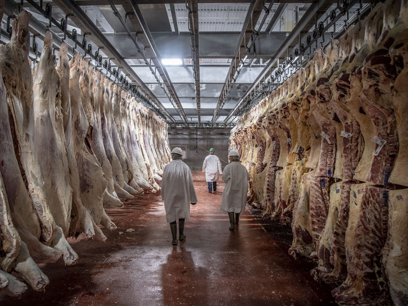 Mã độc tấn công vào công ty chế biến thịt lớn nhất thế giới