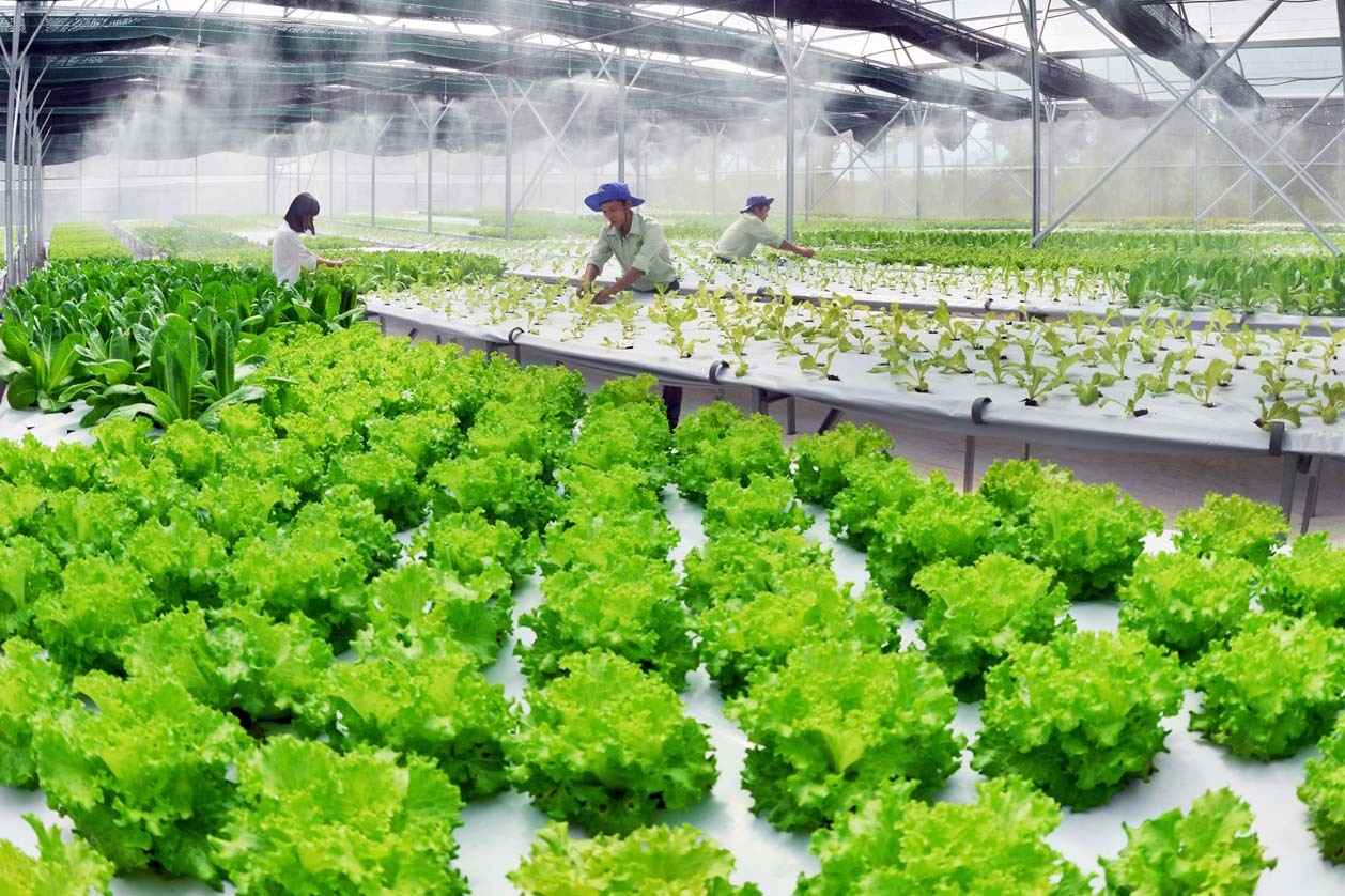 Kỳ vọng Viet Solutions 2021 có sản phẩm giúp 9 triệu nông dân sớm thoát nghèo bằng công nghệ