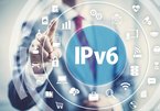 Việt Nam tăng 2 bậc về tỷ lệ ứng dụng IPv6, xếp thứ 8 thế giới