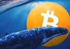 Một 'cá voi Bitcoin' vừa thức giấc sau hơn 7 năm không giao dịch