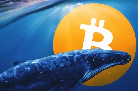 Một 'cá voi Bitcoin' vừa thức giấc sau hơn 7 năm không giao dịch