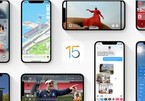 iOS 15 phát hành ngày 20/9 cùng iPadOS 15