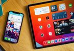 Đã có thể tải về iOS 15 và iPadOS 15 cho iPhone, iPad