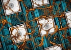 Samsung muốn làm chip sao chép não người