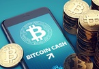 Bitcoin lần đầu phá cản 60.000 USD kể từ tháng 4