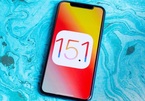 iOS 15.1 chính thức ra mắt với nhiều tính năng được mong chờ