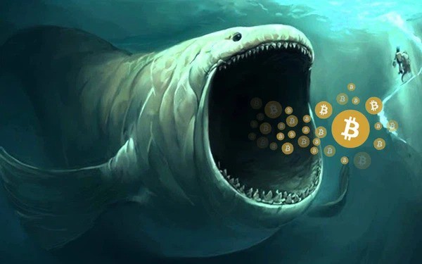 Nhiều ví Bitcoin lớn hoạt động trở lại sau hơn 12 năm