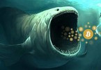 Ai là chủ ví 'cá voi' lớn thứ ba thị trường Bitcoin?