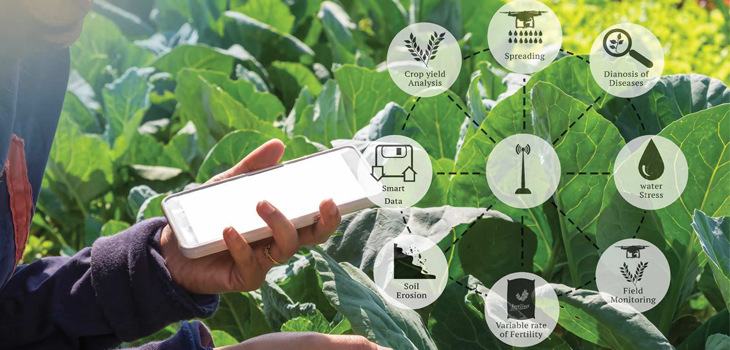 Nâng hiệu quả chuỗi cung ứng nông sản bằng công nghệ blockchain