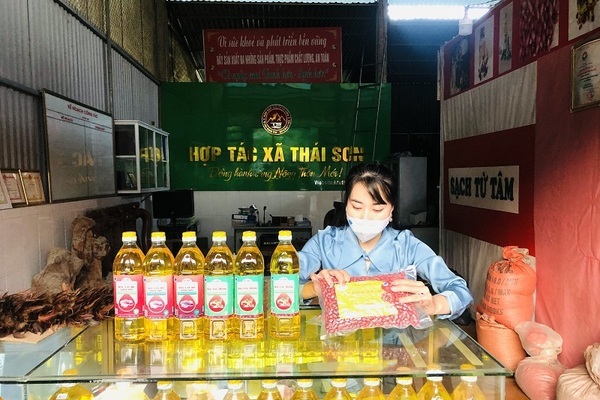 Nông sản Lục Yên 'bén duyên' với sàn Postmart