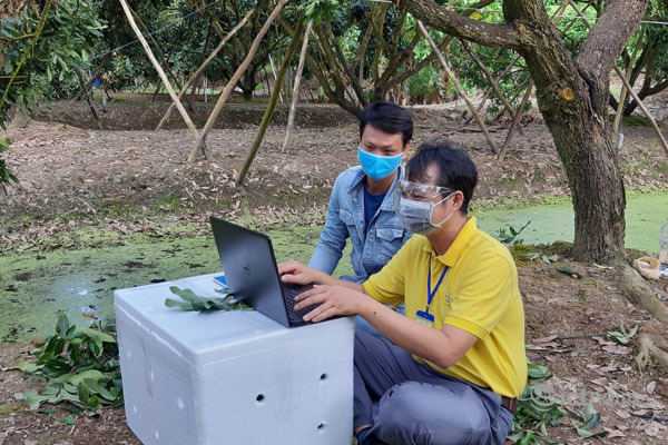 Đưa hoạt động của người dân, doanh nghiệp lên mạng qua phổ cập nền tảng số Việt Nam