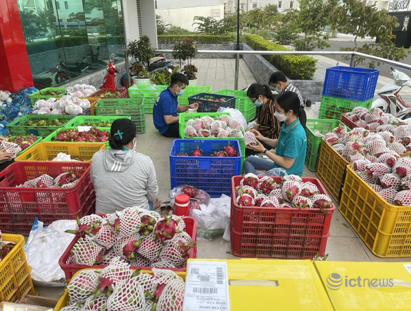 Postmart, Vỏ Sò hỗ trợ tiêu thụ gần 1.500 tấn nông sản cho nông dân Đồng Tháp