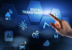 The Ministry of Information and Communications asked ministries and provinces to raise big problems in digital transformation