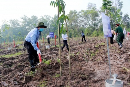 Bình Dương chủ động nhiều phương án ứng phó với biến đổi khí hậu