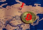 Bitcoin cùng hàng loạt tiền điện tử tiếp tục "lao dốc" giữa căng thẳng Nga - Ukraine