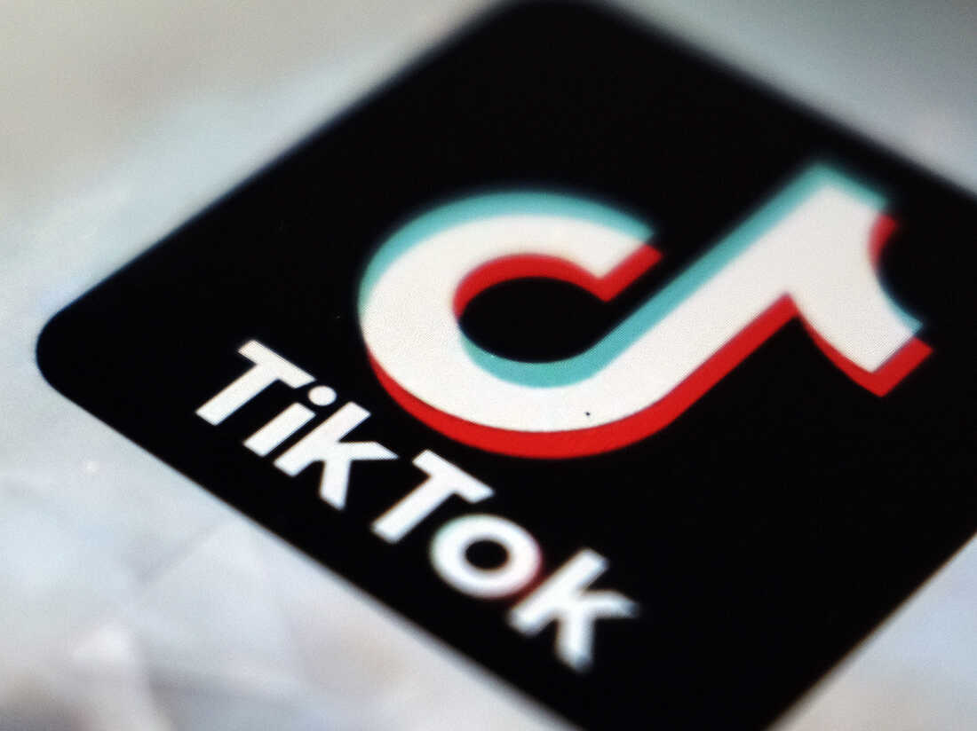 TikTok: Từ ứng dụng hát nhép đến vai trò nổi bật trong cuộc chiến Nga – Ukraine