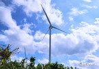"Ông lớn" toàn cầu thúc đẩy sử dụng năng lượng tái tạo