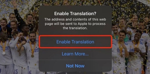 Hướng dẫn dịch trang web trên iOS 16 khi đã có tiếng Việt