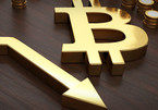 Nhà đầu tư Bitcoin: 'Tôi bị chia đôi tài khoản'
